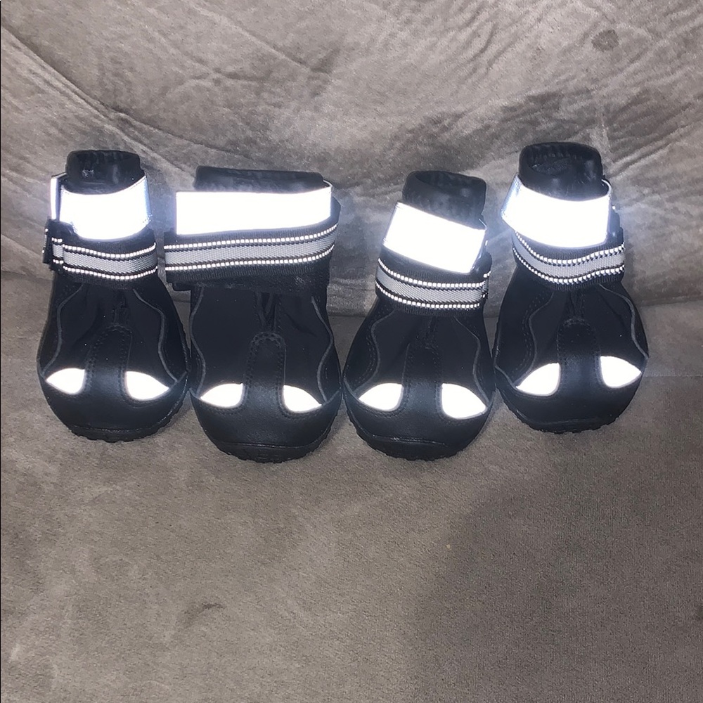 Dogs Black and White Shoes